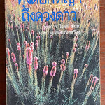 ทุ่งดอกหญ้าถึงดวงดาว