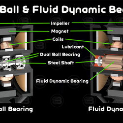 Dual Ball Bearing & Fluid Dynamic Bearing