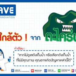 ตะไคร่น้ำอันตรายหรือไม่