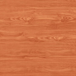 16"x16" นกยาใจ C กระเบื้อง