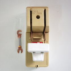 15735 คัทเอาท์ 2P 60A SG