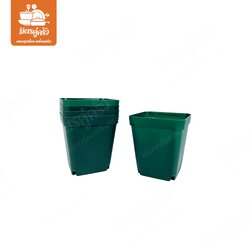 กระถางต้นไม้เหลี่ยม เขียว 2.6 นิ้ว (บรรจุ 1x4)