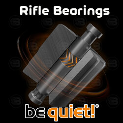 Rifle Bearings คืออะไร