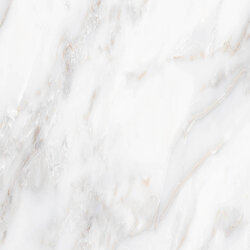 16"x16" นกในฝัน C กระเบื้อง