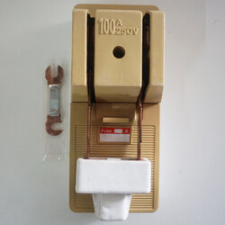 15736 คัทเอาท์ 2P 100A SG