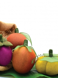 การบูร กากกาแฟอบแห้ง