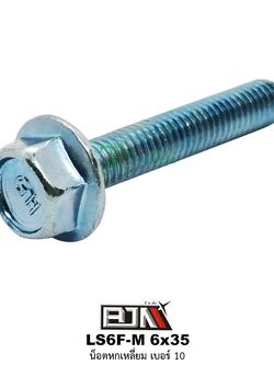 LS6F-M 6x35 น็อตหกเหลี่ยมเบอร์ 10 ( 1 ถุงมี 50 ตัว )
