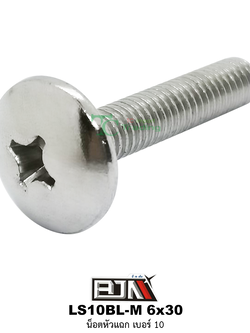 LS10BL-M 6x30 น็อตหัวแฉก เบอร์ 10 ( 1 ถุงมี 50 ตัว )