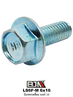 LS6F-M 6x16 น็อตหกเหลี่ยมเบอร์ 10 ( 1 ถุงมี 50 ตัว )