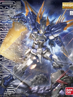 Gundam Astray Blue Frame D (MG)