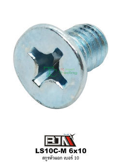 LS10C-M 6x10 สกูรหัวแฉก เบอร์ 10 ( 1 ถุงมี 50 ตัว )