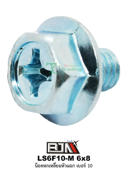 LS6F10-M 6x8 น็อตหกเหลี่ยมหัวแฉกเบอร์ 10 ( 1 ถุงมี 50 ตัว )