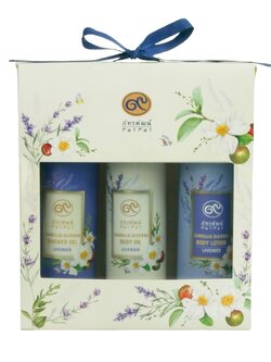 ชุดผลิตภัณฑ์บำรุงผิวกายจากน้ำมันเมล็ดคามีเลีย กลิ่นดอกลาเวนเดอร์