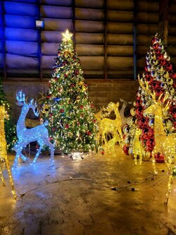 Johnny bangkokกับต้นคริสต์มาสปลอม