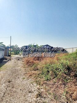 ขายที่ดินเปล่า ย่าน งิ้วราย ลานตากฟ้า มหาสวัสดิ์ ศาลายา นครชัยศรี : ใกล้บ้านสวนคุณปูคุณแก้ว และสถานีรถไฟงิ้วราย : 217 ตร.วา