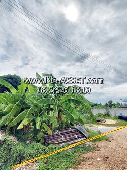 ขายที่ดินเปล่า ย่าน ซอยประเสริฐศรี ซอยยายชา9 ต.ยายชา อ.สามพราน นครปฐม : ใกล้ ปตท.สวนสามพราน : 93.2 ตร.วา