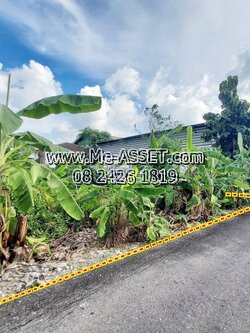 ขายที่ดินเปล่า ติดถนนสาธารณะ ย่าน เทอดไท วุฒากาศ กัลปพฤกษ์ กำนันแม้น บางหว้า ภาษีเจริญ : ซ.เทอดไท 71 : 145 ตร.วา