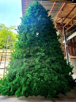 เช่าต้นคริสต์มาสปลอมยอดนิยม