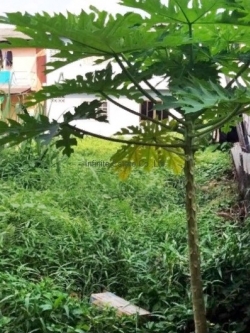 ขายที่ดินเปล่า ถ.รามคำแหง 93 แขวงหัวหมาก เขตบางกะปิ กรุงเทพ ใกล้เดอะมอลล์บางกะปิ/ พื้นที่ 57.4 ตารางวา