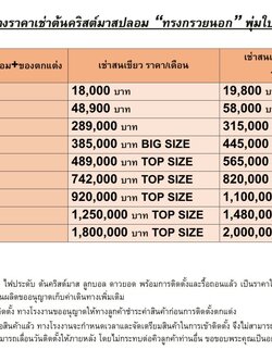 ให้เช่าต้นคริสต์มาส