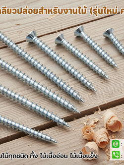 สกรูงานไม้ เกลียวปล่อยงานไม้ ปลายแหลม F+Wood Screw