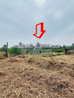 ขายที่ดินเปล่า ย่าน ลานตากฟ้า งิ้วราย คลองโรงเจ ประตูน้ำพระพิมล ม.พฤกษา8 : ใกล้บริษัท สปิริตอะโกร : 1-2-6.1 ไร่