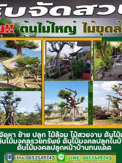 ร้านขายหินกาบใกล้ฉัน โทร 065-3549747 หินแต่งสวน หินจัดสวน หินทำน้ำตก จัดหาหินธรรมชาติ หินกาบ หินมอส หินฟองน้ำ