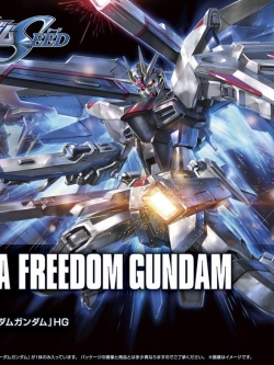 Freedom Gundam (HGCE)