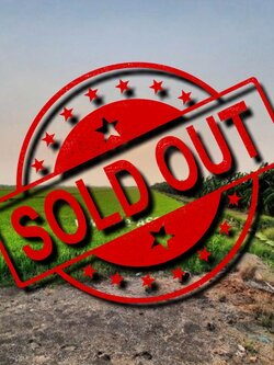 ขายที่ดินเปล่า ถ.บางแก้วฟ้า-ห้วยพลู ต.บางแก้วฟ้า อ.นครชัยศรี นครปฐม / พื้นที่ 15-3-13 ไร่