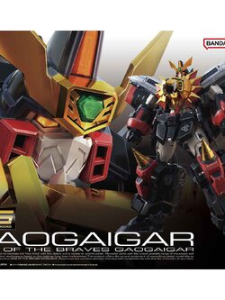 RG GAOGAIGAR