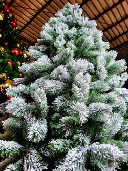 แบบต้นคริสต์มาสปลอม"หลากหลายรูปแบบ"