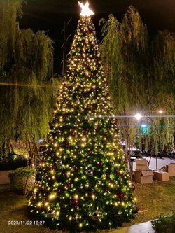 ต้นคริสต์มาสปลอม888