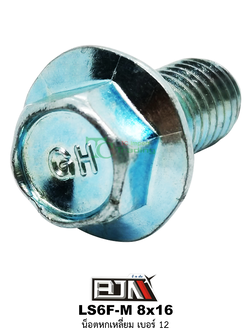 LS6F-M 8x16 น็อตหกเหลี่ยมเบอร์ 12 ( 1 ถุงมี 50 ตัว )