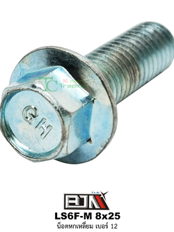 LS6F-M 8x25 น็อตหกเหลี่ยมเบอร์ 12 ( 1 ถุงมี 50 ตัว )