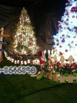 ต้นคริสต์มาสราคาถูก