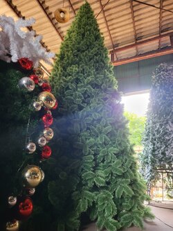 ต้นคริสต์มาสปลอม