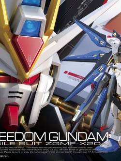 ZGMF-X20A Strike Freedom Gundam (RG)