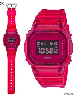 นาฬิกา Casio G-SHOCK รุ่น DW-5600SB-4DR ของแท้ ประกันศูนย์ 1 ปี