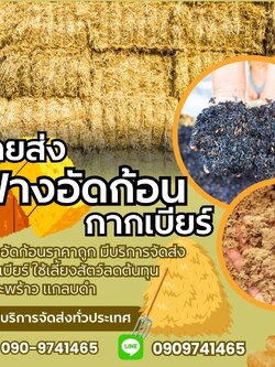 สินค้าตัวอย่าง