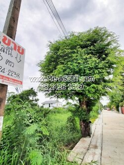 ขายที่ดินเปล่า ย่าน ถนอมมิตร ท่าแร้ง วัชรพล สุขาภิบาล 5, ใกล้ รร.สายอักษร : รามอินทรา 65 แยก 2-6 ซ.บุรุษพัฒน์ 6 : 43 ตร.วา
