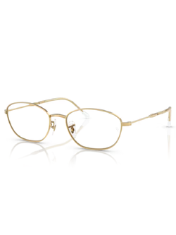 กรอบสายตา Ray Ban RB3749V 2500 55