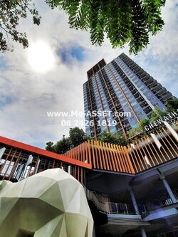 ขายและเช่า คอนโด ใกล้ ม.สยาม รถไฟฟ้า ย่าน เพชรเกษม 27, บางหว้า กัลปพฤกษ์ : ชีวาทัย เพชรเกษม 27 : 23.50 ตารางเมตร