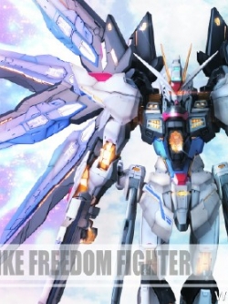 [ZGFM-X20A] MG 1/100 Strike Freedom Ver.MB (8802) + Wing of light parts [Daban]