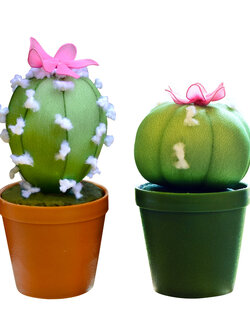 แคคตัสการบูรหอม 100% (คละสี)