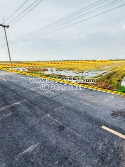 ขายที่ดินเกษตร ทำนาข้าว มีแหล่งน้ำธรรมชาติ ติดถนน ย่าน หลักชัย ลาดบัวหลวง อยุธยา : 20 ไร่