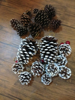 ลูกสนประดับสวยๆ