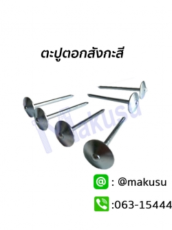 ตะปูตอกสังกะสี ตะปูตอกสังกะสีพร้อมแหวนสังกะสี ตะปูสังกะสีคุณภาพสูง