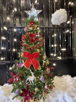 ต้นคริสต์มาสแบบตกแต่งพร้อมของประดับ