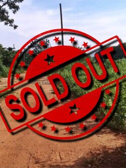 ขายที่ดินเปล่า ซ.ศาลาหมู่บ้านท่าลาดกระดาน ต.วังก์พง อ.ปราณบุรี ประจวบคีรีขันธ์ / พื้นที่ 65.8 ตารางวา