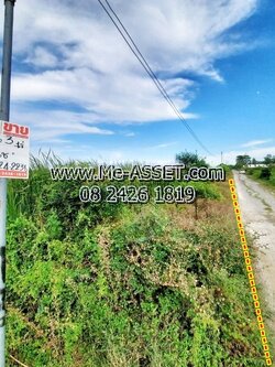 ขายที่ดินเปล่า ย่าน บึงทองหลาง ลำลูกกา คลอง11 : ใกล้บริษัท กิตติ แมนูแฟคเจอร์ริ่ง จำกัด : 3 ไร่ (แปลงละ 1 ไร่ มี 3 แปลงติดกัน / ราคาต่อแปลง / ราคาแต่ละแปลงไม่เท่ากัน)